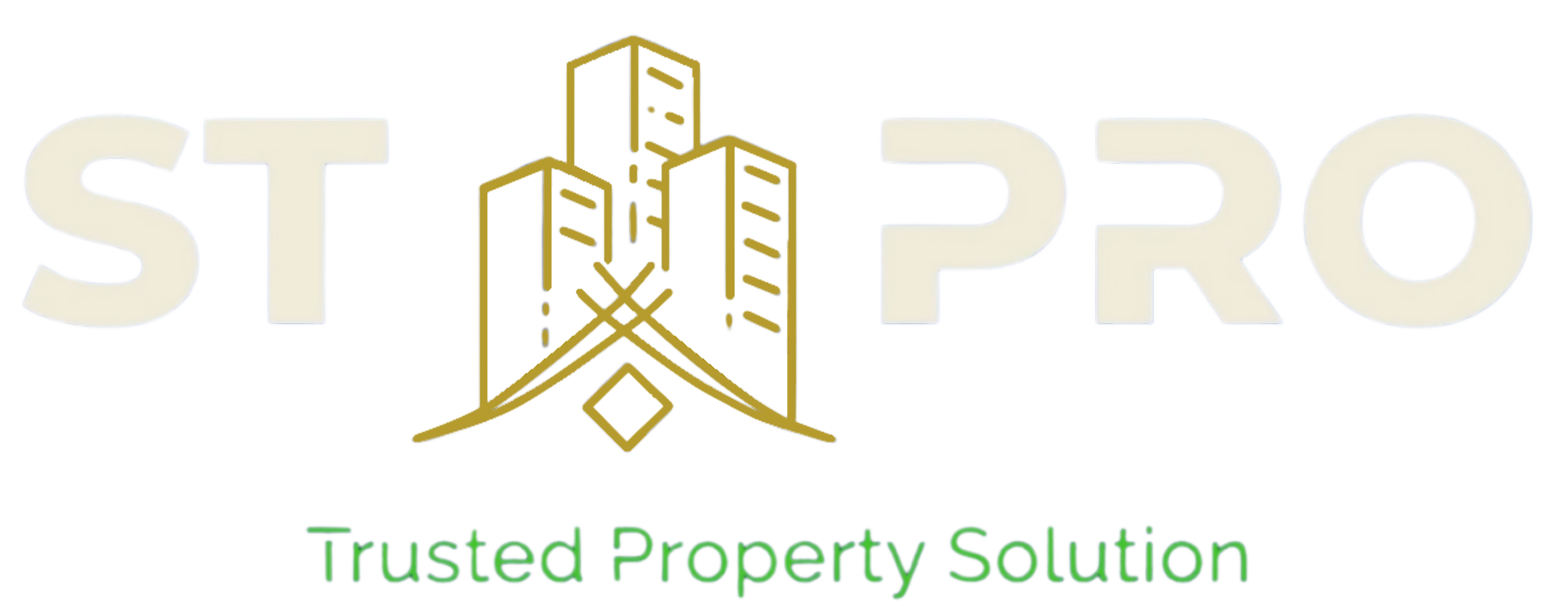 ST PRO logo